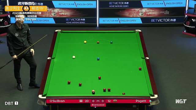 非凡的技艺 非凡的技艺